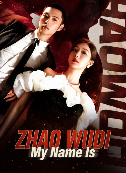 My Name Is Zhao Wudi封面